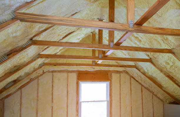 Best Residential Insulation in Cienegas Terrace, TX