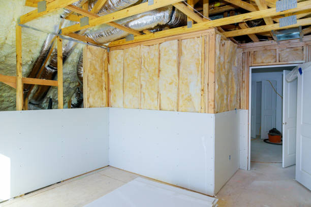 Best Insulation Maintenance and Repair in Cienegas Terrace, TX