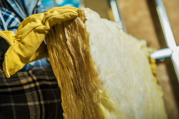 Best Eco-Friendly Insulation in Cienegas Terrace, TX