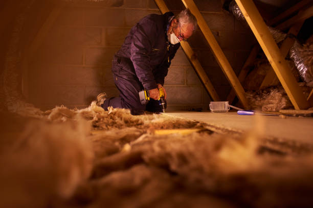 Best Geographic-Specific Insulation Services in Cienegas Terrace, TX